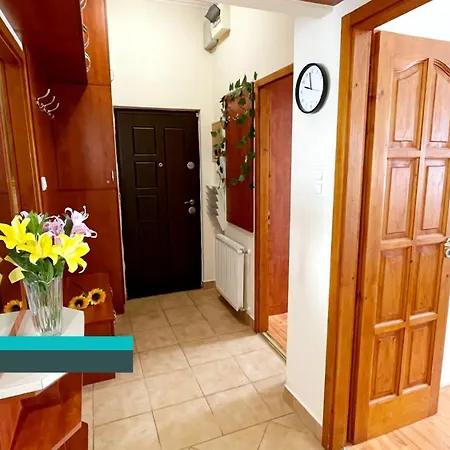 Little Americas New York *