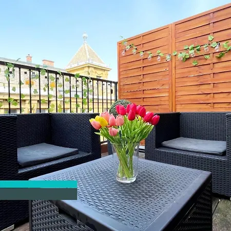 Little Americas New York *